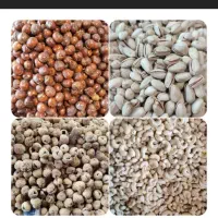 آجیل و خشکبار