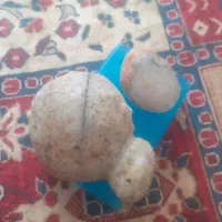 سنگ جیوه الماس آب حیاط