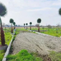 زمین-سندراربامجوز