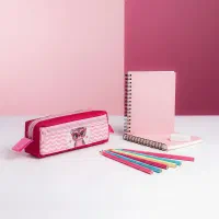 فروش عمده جامدادی دو زیپ و دانشجویی