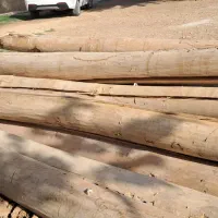 تعدادی چوب بفروش میرسد