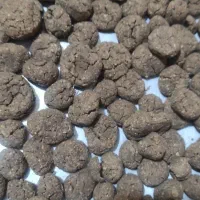 کلگ خشک شده و تر موجود هست