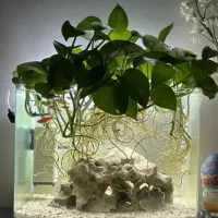 تجهیزات غواصی