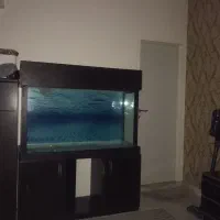آکواریوم