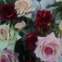 گل‌های زیبای رز مصنوعی در چهار رنگ باگلدان|گل مصنوعی|رباط‌کریم, رباط‌کریم|دیوار