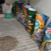 پخش تخمه  چینی وخوی|عمدهفروشی|قیدار, |دیوار