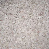 برنج ضیغمی/شیروان/فوق العاده خوشپخت و خوشبو