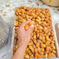 قصب زاهدی|خوردنی و آشامیدنی|بوشکان, |دیوار