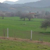 زمین،باغ پرتقال ۱۰۰۰متر روستای بالاجاده|فروش زمین و ملک کلنگی|کردکوی, |دیوار