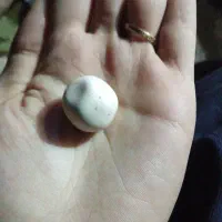 سنگ