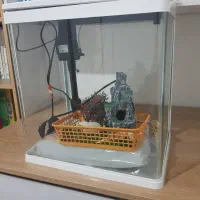 آکواریوم شرکتی دلسا مدل K390