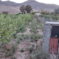 باغ|فروش زمین و ملک کلنگی|خوی, |دیوار