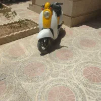 پاکشتی هوندا