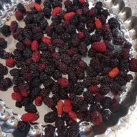شاه توت کیلیو ۱۰۰ هزار تومن