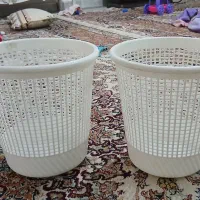 سبد