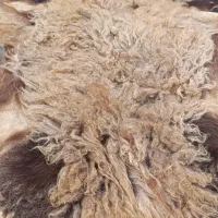 پوست بسیارزیبا