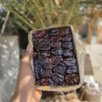 خرما عمده وجزیی|خوردنی و آشامیدنی|قم, هنرستان|دیوار