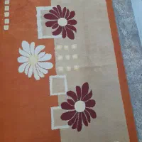 پالاز موکت(هالی)|موکت|تبریز, |دیوار