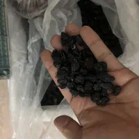 کشمش آفتابی کاشمر/ مویز دانه ریز و درشت