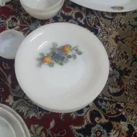ارکوپال گل میوه