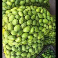 انبه کال جهت ترشی