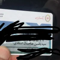 گمشده ،پیدا شده