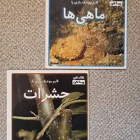 پک کتاب کودکان|کتاب و مجله آموزشی|تهران, ولنجک|دیوار