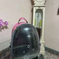 کوله پرنده وگربه