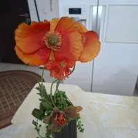 گلدان گل مصنوعی|گل مصنوعی|پردیس, فاز ۱۱|دیوار