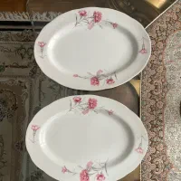 دیس چینی طرح دار گل میخکی
