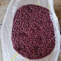 لوبیا قرمز بوجار شده ۳۰۰ کیلو