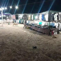 حراجی تیشرت و دورس وهودی