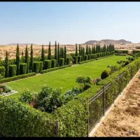 زمین باغی