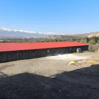 نیازمند کارگر مرغداری|استخدام صنعتی، فنی، مهندسی|طارم, |دیوار