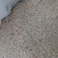 سلام فروش خرده برنج اصل کامفیروز