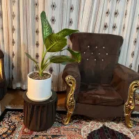 مبل ۹ نفره  با بوفه|مبلمان خانگی و میز عسلی|قزوین, |دیوار