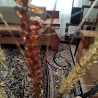 گل گندمی|گل مصنوعی|ملایر, |دیوار