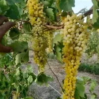 بهترین-موقعیت-برای-سرمایه-گذاری