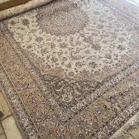 فرش ۱۲ متری|فرش|اصفهان, عسگریه|دیوار