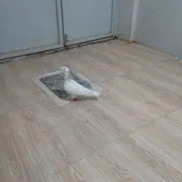 یه جفت هفت رنگ