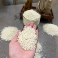 برنج ایرانی هاشمی محله آستانه اشرفیه درجه1|خوردنی و آشامیدنی|تهران, امیر بهادر|دیوار