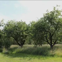 فروش زمین بالای بیست هزارمتر