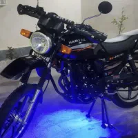 تریل شکاری ۲۰۰ در حد خشک همتاز