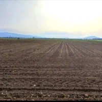 فروش-معدن-با-مجوز-سنگ-شکن