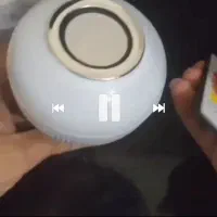 لامپ کنترل دار و اسپیکر دار