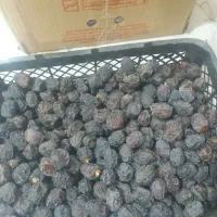 خرید فروش خرما|خوردنی و آشامیدنی|داراب, |دیوار