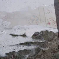 قالیشوی ،مبلشوی،پتوشوی.معجزه ومعرکه