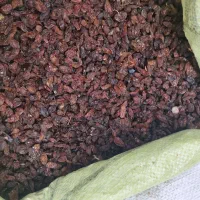 کشمش افتابی|خوردنی و آشامیدنی|یزد, |دیوار