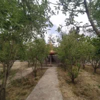 باغ ویلا