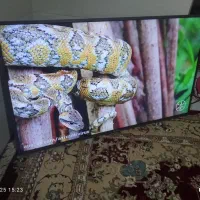 ال ای دی ۴۹اینچ هوریون در حد آکبند|تلویزیون و پروژکتور|گرگان, |دیوار